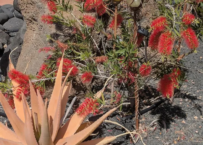 Casa Juleta Barrierefrei *